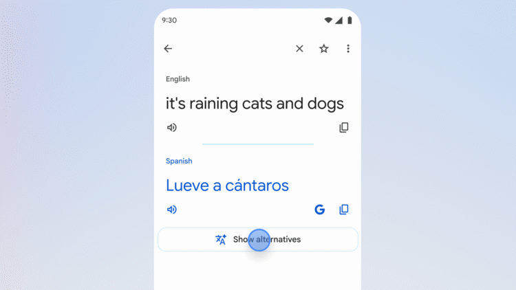 Google Translate uses AI to provide context for translations