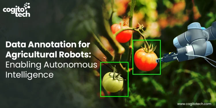 Agricultural Robotics Data Annotation for AI & ML Models