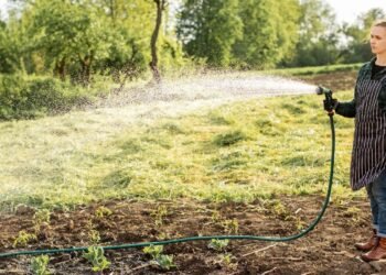 Irrigation Systems in Johnson County, KS Face Rising Demand as Property Owners Review Water Use