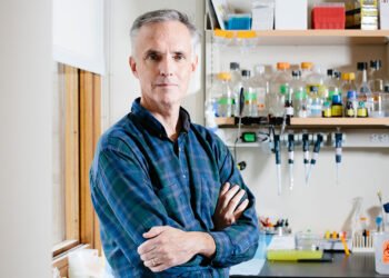 3 Questions: Using AI to accelerate the discovery and design of therapeutic drugs | MIT News