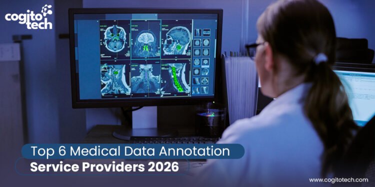 Best Medical Data Annotation Services in 2026