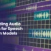 Audio Annotation for Speech Recognition Models