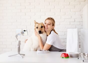 Tiktok, Instagram & Youtube Pet Focus For 2026