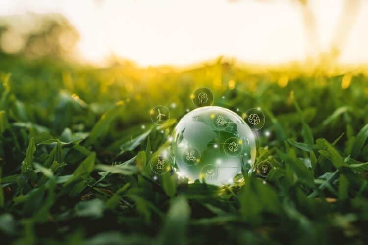 How Purpose-Driven Home Brands Prove Their Sustainability Claims