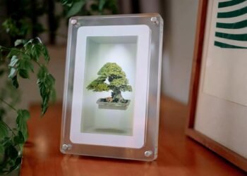 Looking Glass’ Musubi showcases its holographic display in a consumer-friendly package