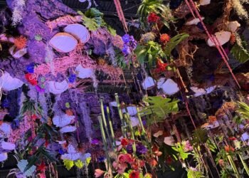 Rooted in Resilience: Philadelphia Flower Show Lessons for PR, Events, and Growth