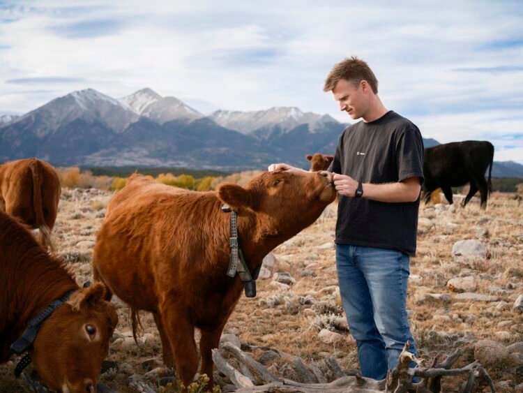 Peter Thiel’s big bet on solar-powered cow collars