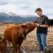Peter Thiel’s big bet on solar-powered cow collars