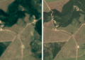 Google’s creating a new satellite imagery map to help protect Brazil’s forests