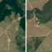 Google’s creating a new satellite imagery map to help protect Brazil’s forests