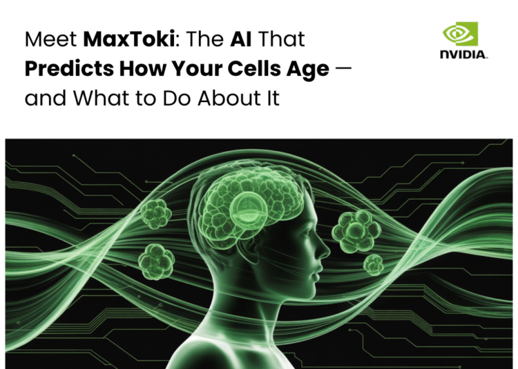 Meet MaxToki: The AI That Predicts How Your Cells Age — and What to Do About It