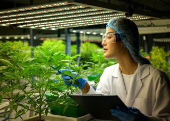 Cannabis Brands Are Banned from Google, Facebook, and Television. Most Still Haven’t Invested in the Channels That Work.