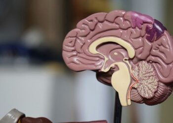 The Silent Two-Decade Build-Up of Alzheimer’s