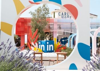 Meet Danielle Damiano Medeiros of LinkedIn