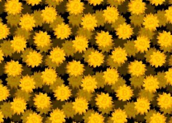 De-fi platform Drift suspends deposits and withdrawals after millions in crypto stolen in hack