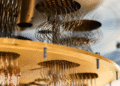 quantum computing for life sciences