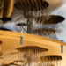 quantum computing for life sciences