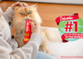 Delectables® Gets Crowned as the #1 Wet Cat Treat Brand in the World
