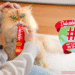 Delectables® Gets Crowned as the #1 Wet Cat Treat Brand in the World