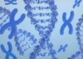 FDA’s approval of Otarmeni, the first gene therapy for hereditary deafness