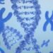 FDA’s approval of Otarmeni, the first gene therapy for hereditary deafness