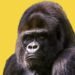 Guerrilla Marketing for Small Business Owners That Works