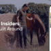 LeMieux Insiders Loyalty Program: Driving Commercial Impact