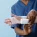 Rising Temperatures, Rising Risks: The Most Common Summer Workplace Injuries