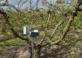 Here’s how we’re helping Belgium’s farmers save water with AI.