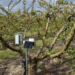 Here’s how we’re helping Belgium’s farmers save water with AI.