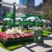 IBM Tees up a New Consumer Strategy with a Masters Watch Party