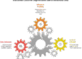 Zero-Party Data Segmentation: Fixing Customer Accuracy