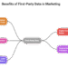 First-Party Data Strategy: Benefits & Examples