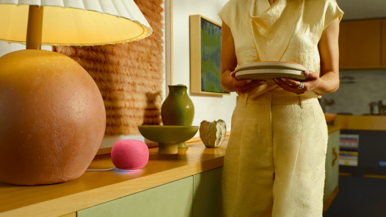 100 things to try with your Gemini for Home voice assistant
