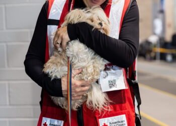 PetSmart Charities Renews Partnership with American Red Cross