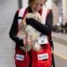 PetSmart Charities Renews Partnership with American Red Cross