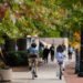 MIT in the media: Exploring how curiosity-driven science is an essential ingredient in America’s success | MIT News