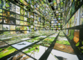 Google is powering Dataland, the first museum of AI arts
