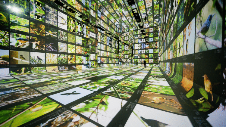 Google is powering Dataland, the first museum of AI arts