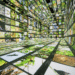 Google is powering Dataland, the first museum of AI arts