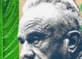The Kratom Civil War Is Heating Up, and MAHA Has Picked a Side