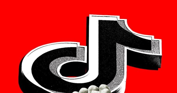 The TikTok Ban Was Never About TikTok
