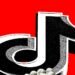 The TikTok Ban Was Never About TikTok
