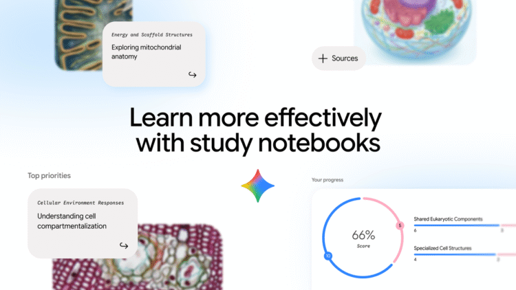 Study notebooks in the Gemini app