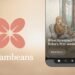 Meet Dreambeans, an app that connects you with what matters
