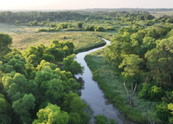 Google announces water stewardship commitments and initiatives