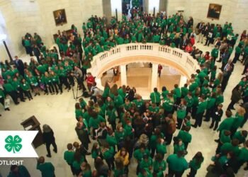 Client Spotlight: Arkansas 4-H