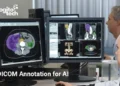DICOM Annotation for AI: Medical Image Data Explained