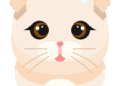 Hachimi Chimichi Song Lyrics (English Translation)