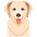 Adopt Me Script (No Key, Auto Farm Pet, Spawn Pets)